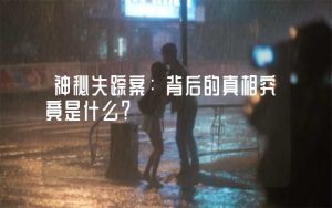 神秘失踪案：背后的真相究竟是什么？